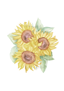Sunflowers Sunburnt