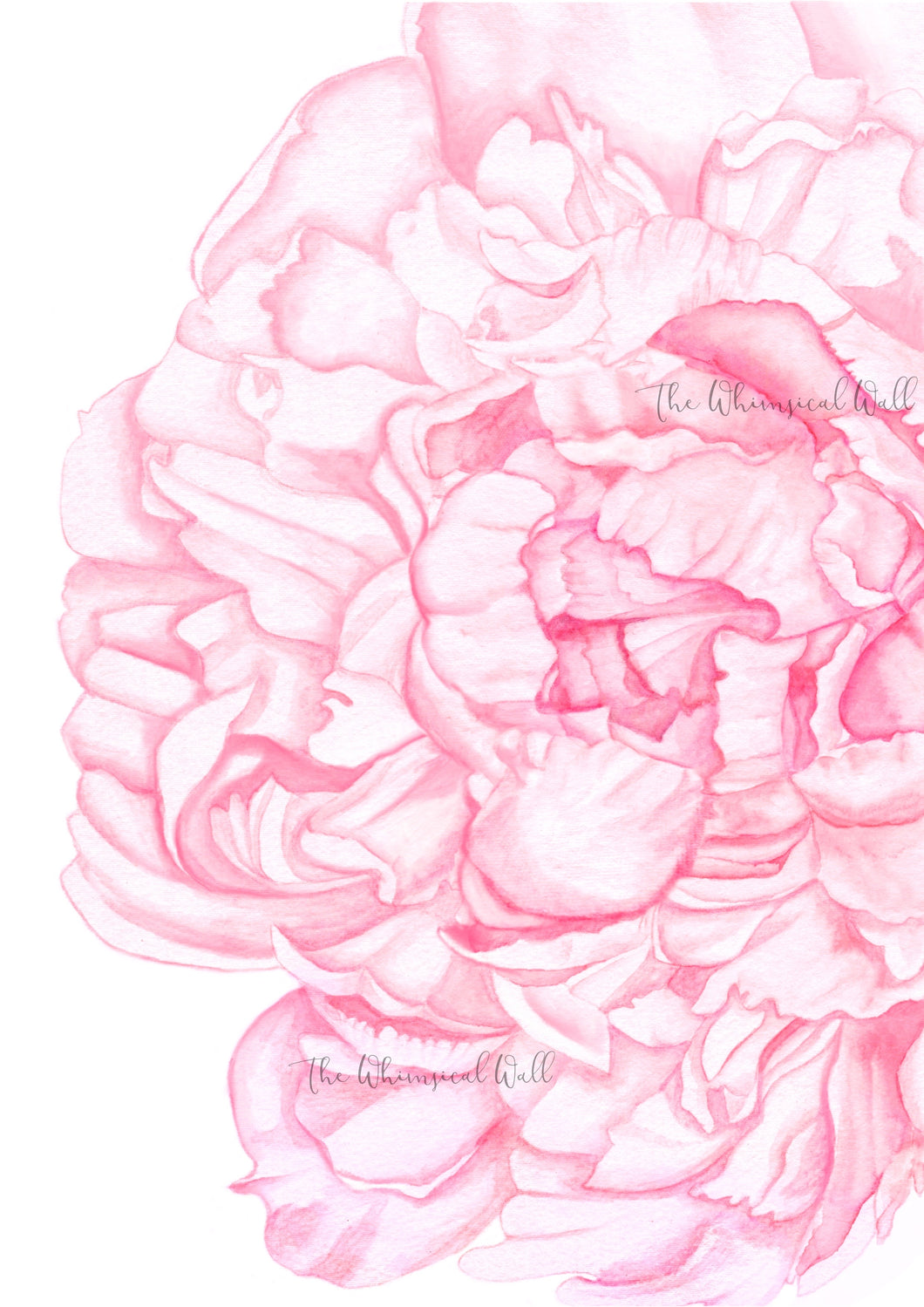 Pink Peony *more colour options