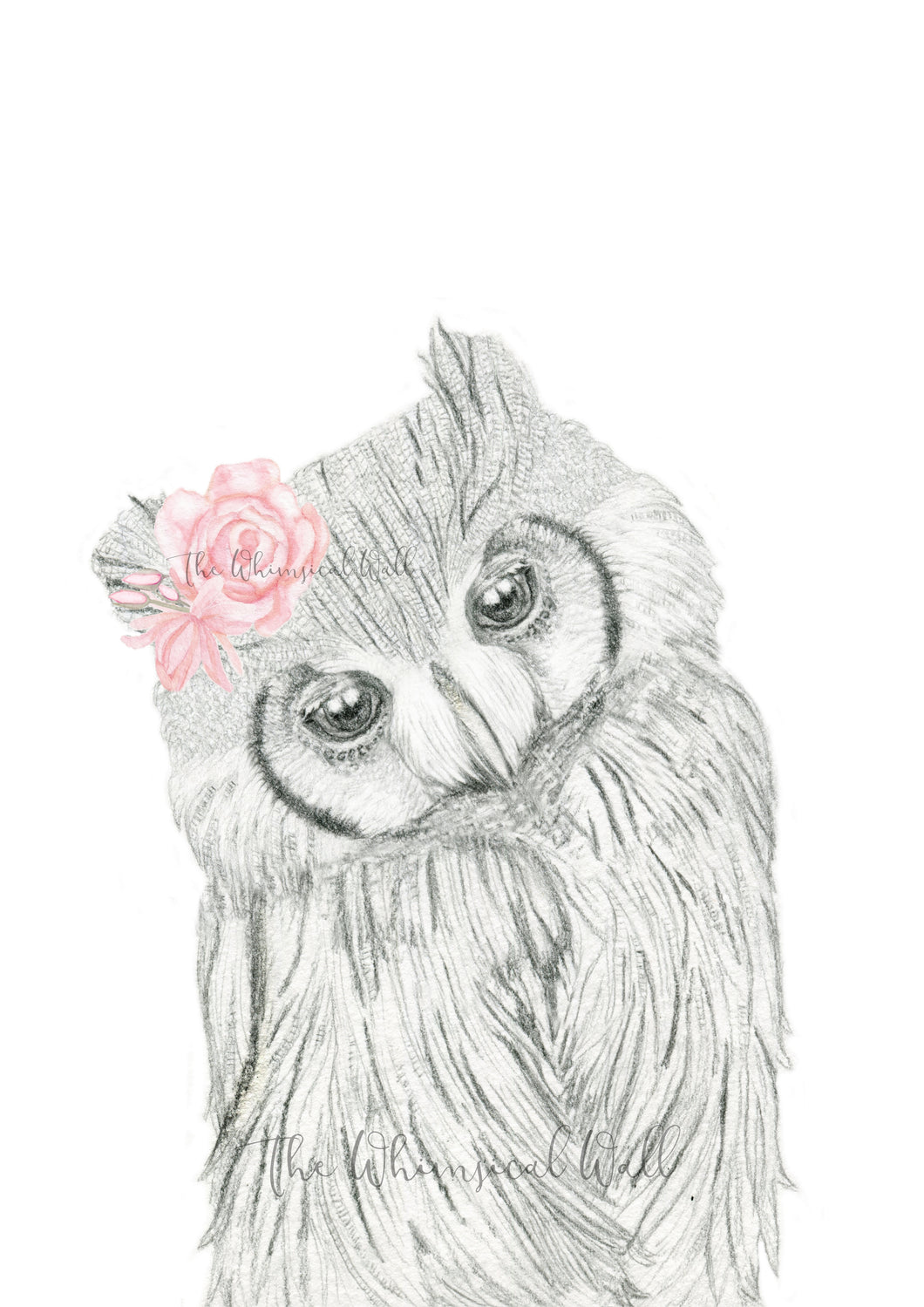 Owl Drawing with flowers