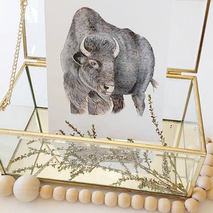 Bison fine art print, photographed with natural elements. Animal art, woodland animal painting.