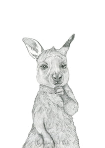 Kangaroo Joey Drawing