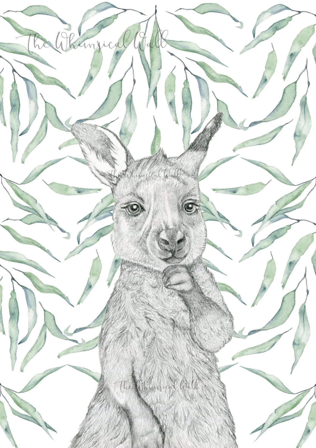 Kangaroo Joey with with gum leaves